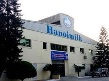 Có khoản hỗ trợ từ đối tác, Hanoimilk lãi gần 8 tỷ trong quý 2